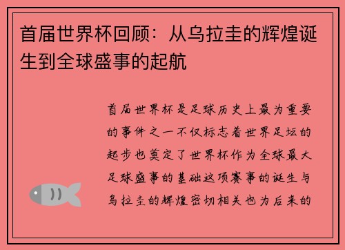 首届世界杯回顾：从乌拉圭的辉煌诞生到全球盛事的起航